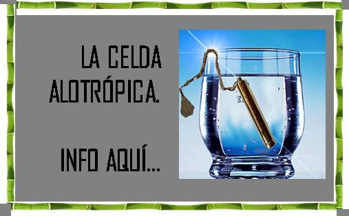 Sin Nombre